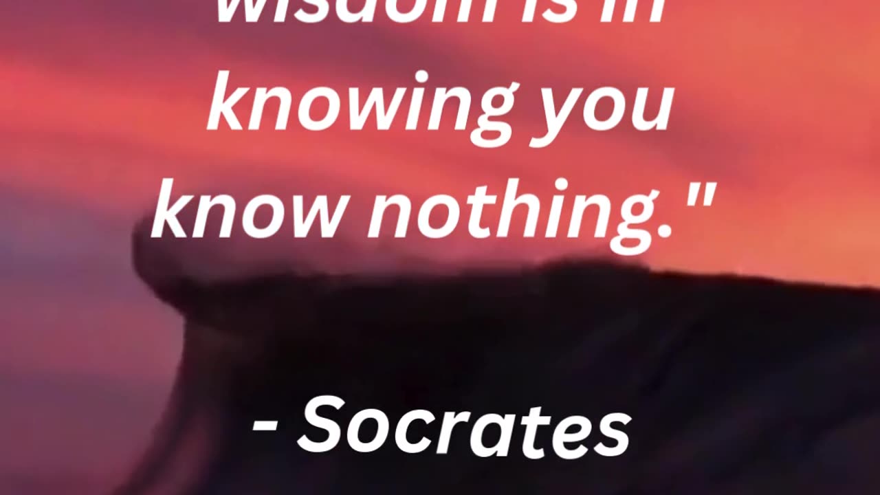 "The only true wisdom is in knowing you know nothing." - Socrates