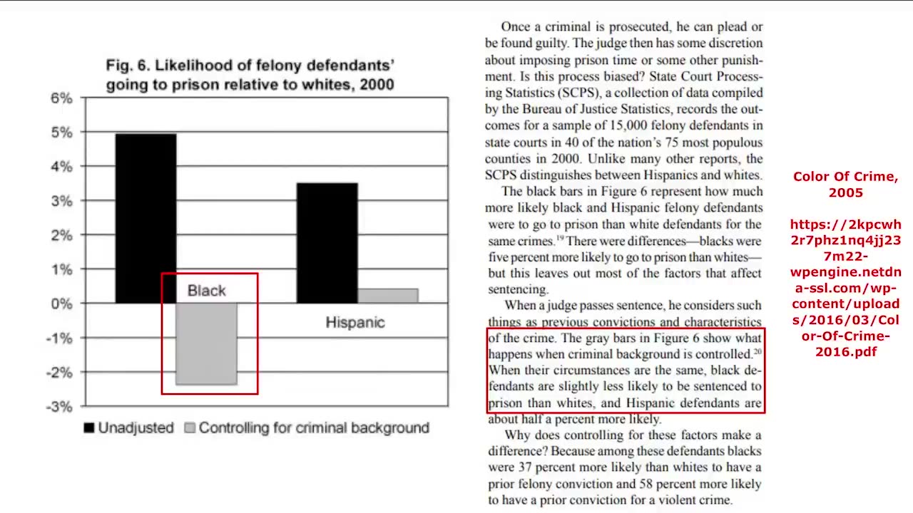 BLACK CRIME MATTERS (Emily Youcis | 2023-07-25)