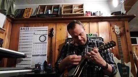 Boss Blues Driver and Digitech Digiverb on mandolin and banjo, hum abundance unfortunately