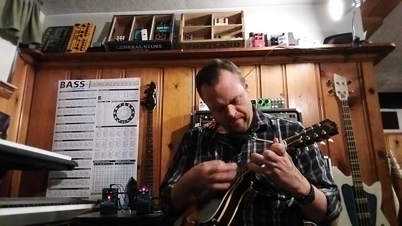 Boss Blues Driver and Digitech Digiverb on mandolin and banjo, hum abundance unfortunately