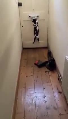 When you waited way too long for the package to arrive