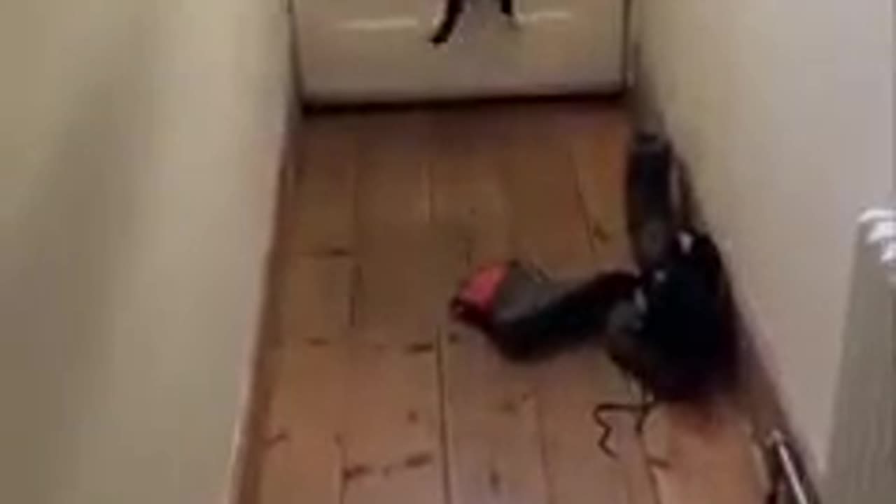 When you waited way too long for the package to arrive