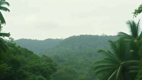 Darien Gap: Child Safety and Immigration Crisis