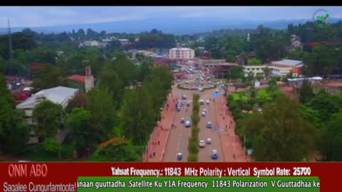 Oduu Waaree ONM-ABO Amajjii 17-2025 itti dhiyaadhaa!