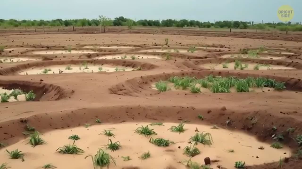 This Island Doesn't Exist But Keeps Popping Up on Maps