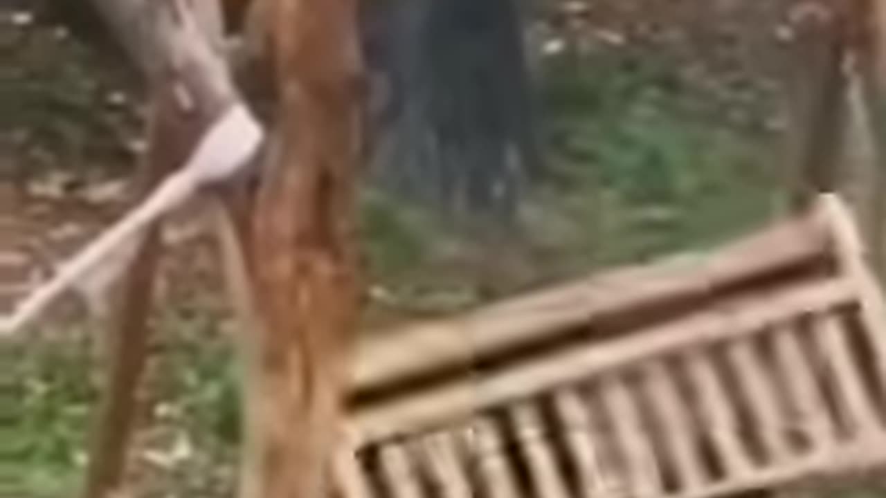 Moments with a lovely animal