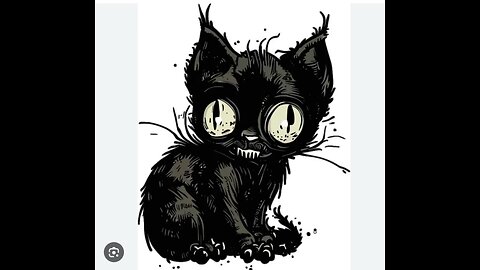 black cat 🐈‍⬛