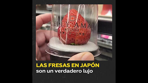 Esto cuestan las fresas en Japón