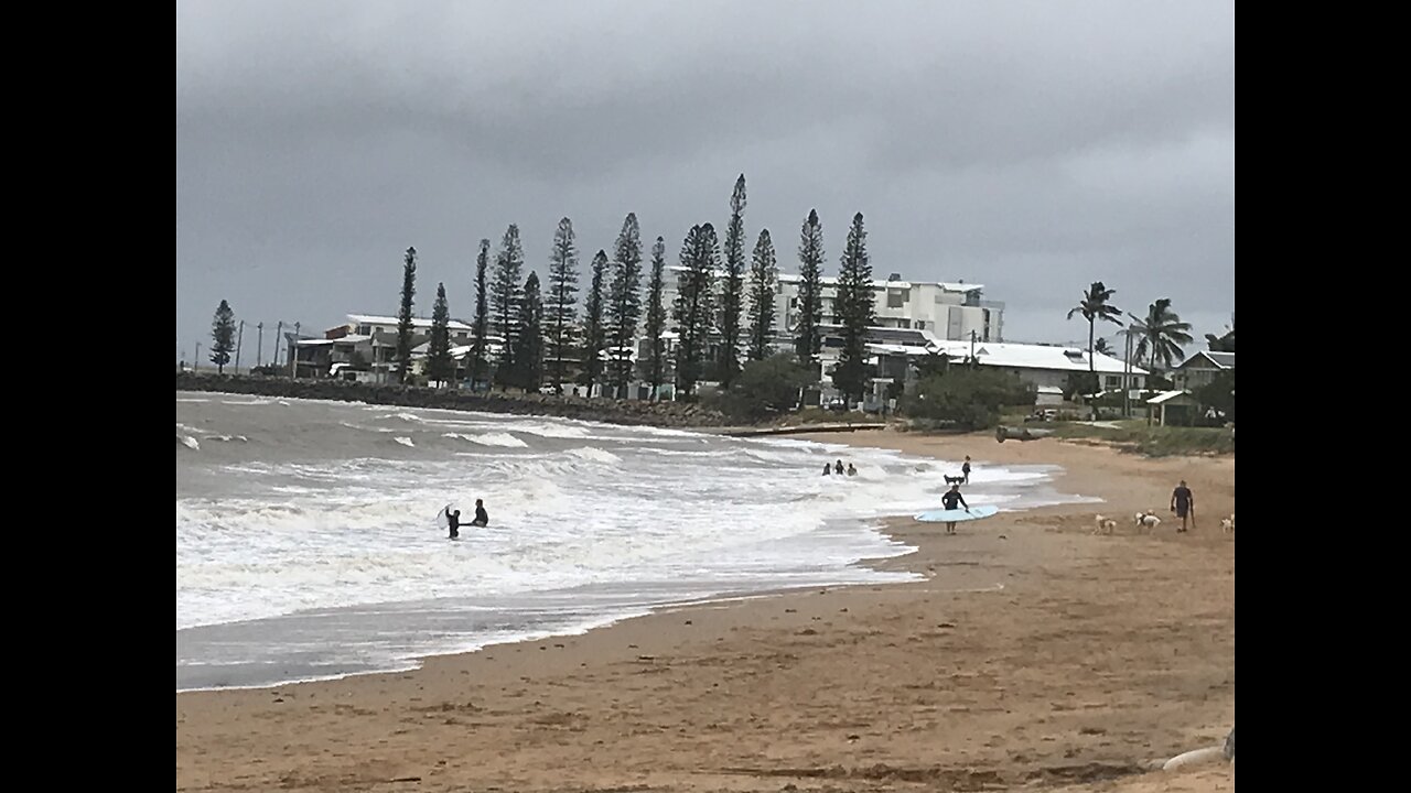 Cyclone ALFRED and the CHICKENS