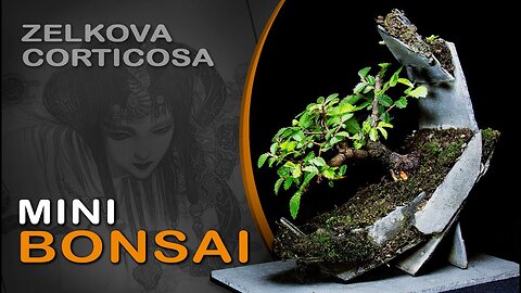 Vaso lua parte 2- Moon vase part 2 : Bonsai SP