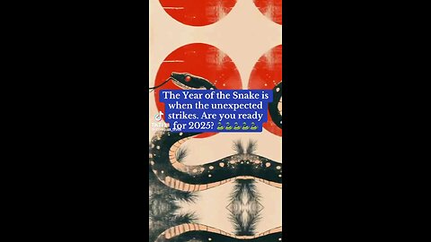 2025 The Year Of The Snake-Expect The Unexpected