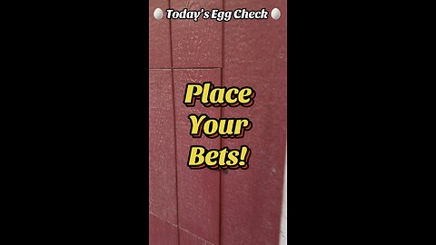 🥚 Wednesday’s Egg Check! 🥚