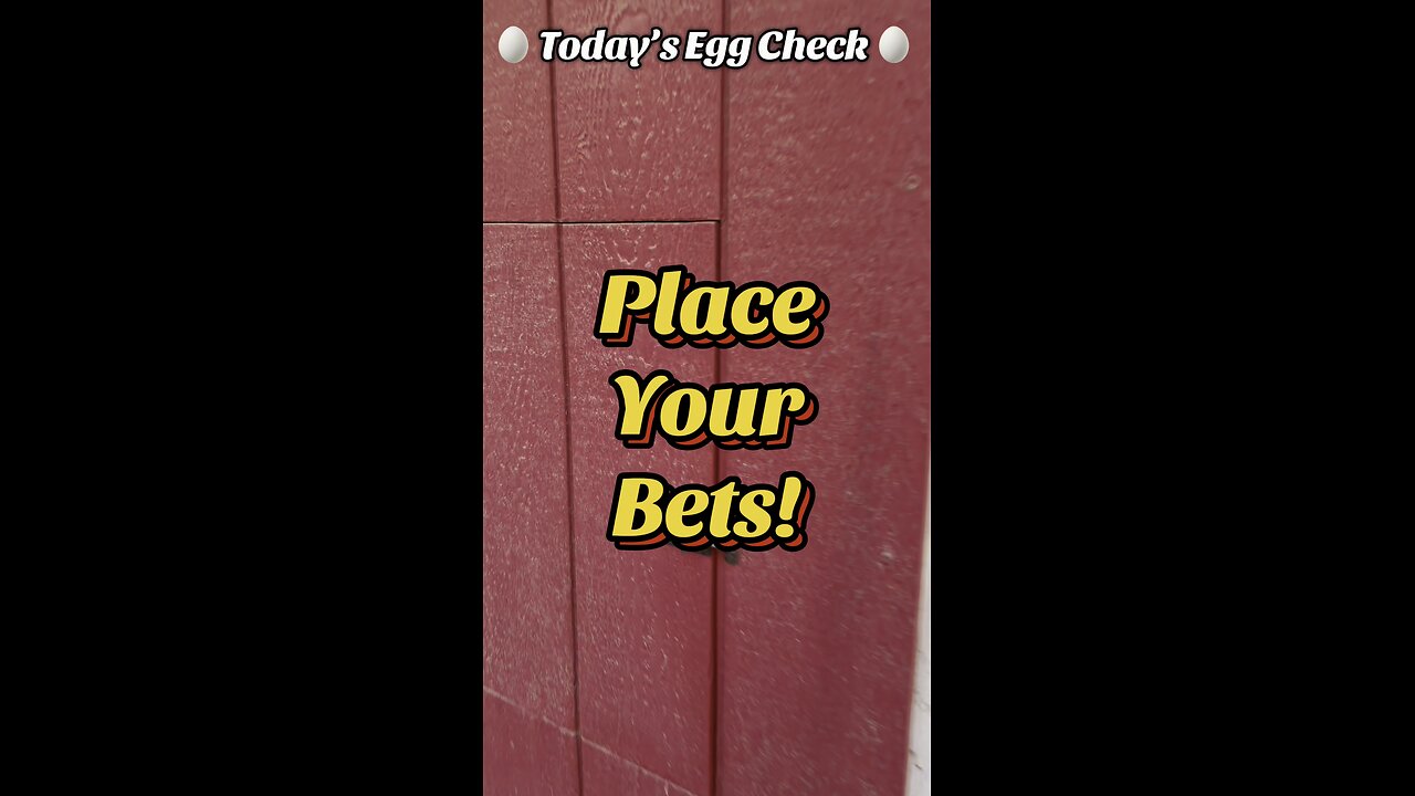 🥚 Wednesday’s Egg Check! 🥚