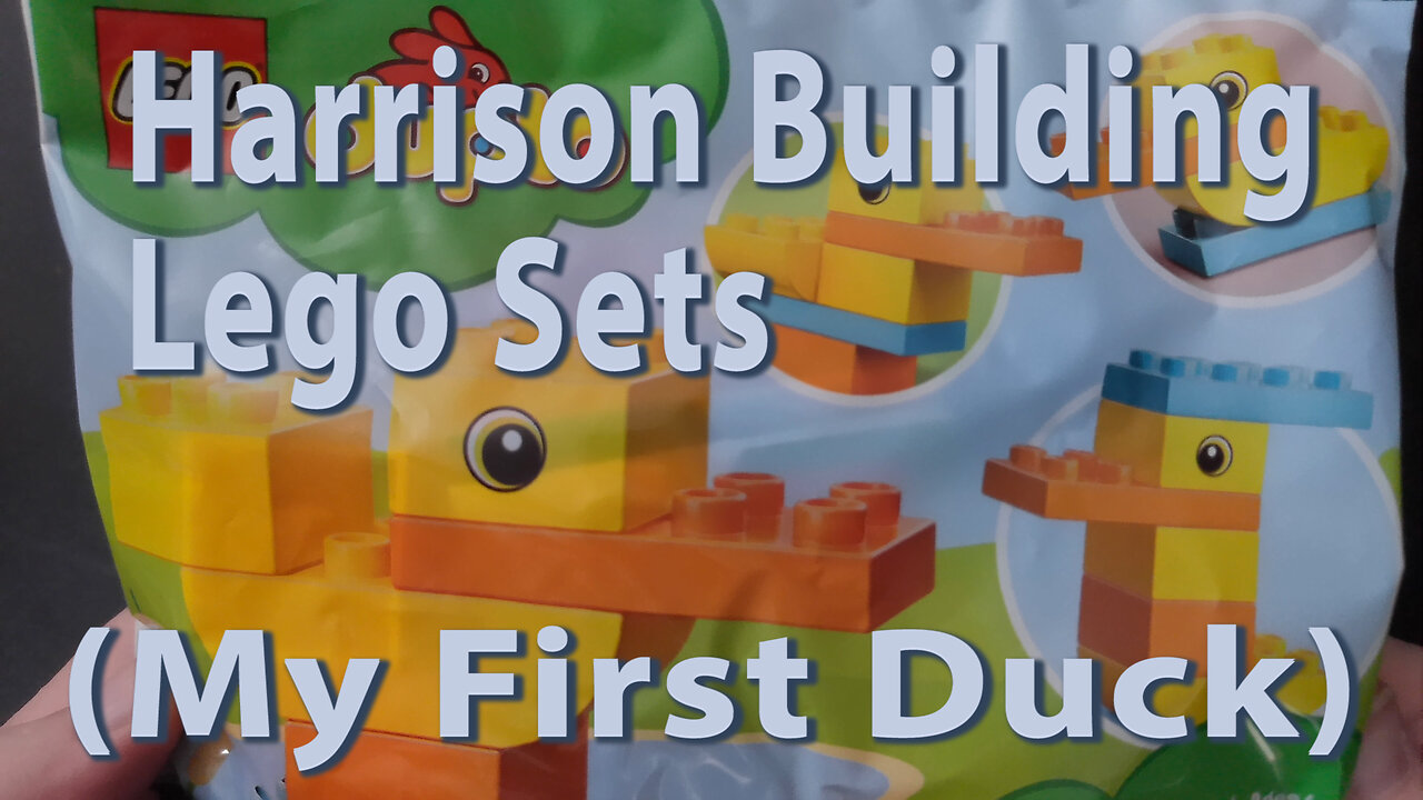 Harrison Building Lego Sets (My First Duck)