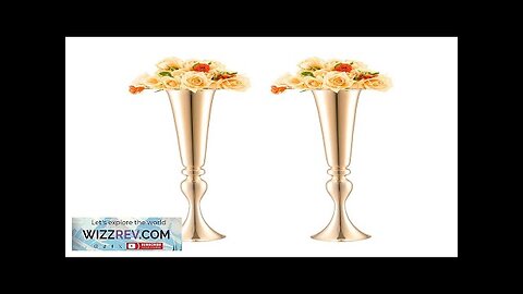 VEVOR 2PCS 56cm/22.05” Tall Wedding Flower Vase Metal Gold Trumpet for Tables Review