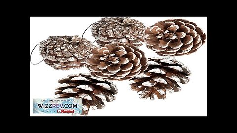 24 PCS Pine Cones for Christmas Tree Snowflake Natural Pinecones Ornament Review