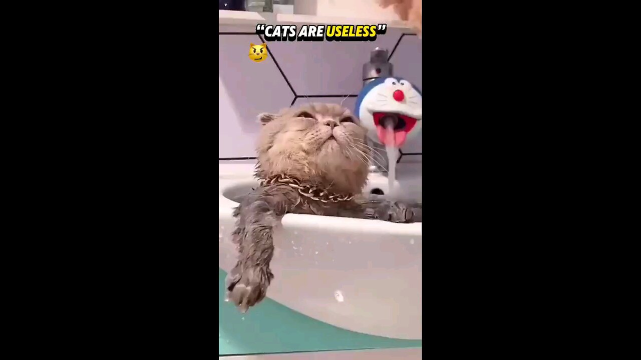who's say cat's are useless 😡
