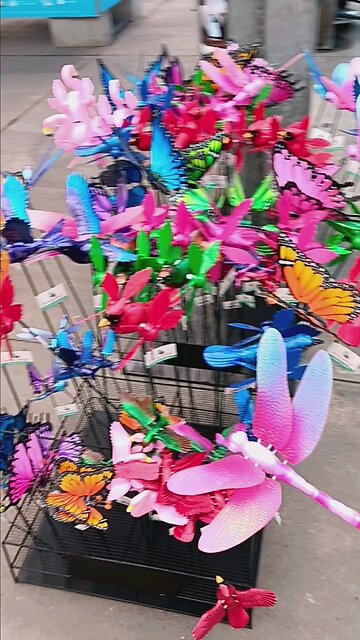 Spring Into Outdoor Yard