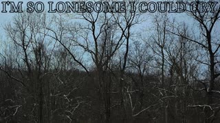 I'm So Lonesome I Could Cry - (Hank Williams)