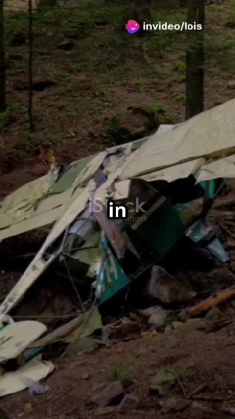 Plane Crash Tragedy: What Happened?