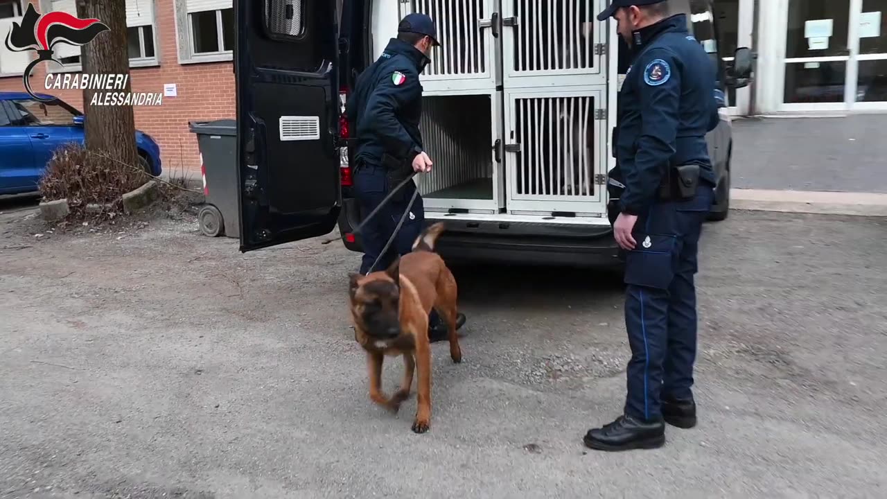 Alessandria - Contrasto alla diffusione delle droghe nelle scuole (09.03.25)