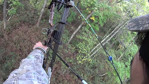Whitetail Deer Hunting Videos - Public Land PA