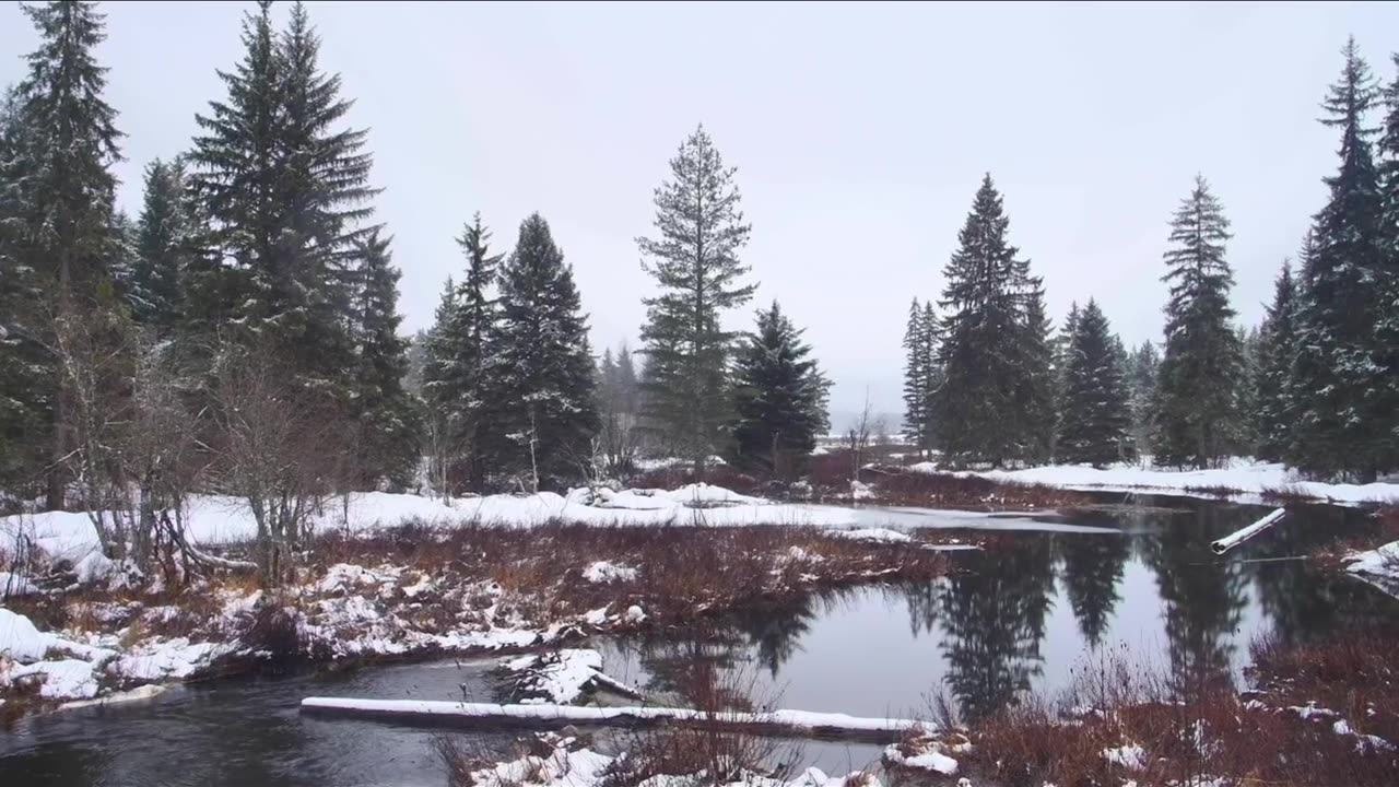 Nature