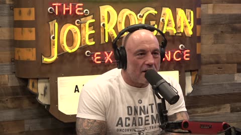 Joe Rogan Experience #2260 - Lex Fridman