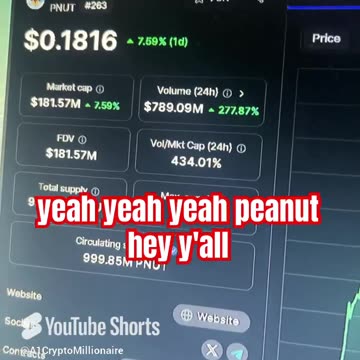 peanut the squirrel daily price prediction crypto news #fyp