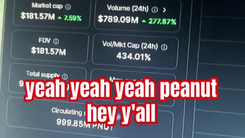 peanut the squirrel daily price prediction crypto news #fyp