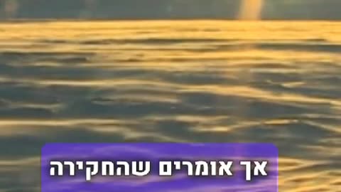 עשרות מכללות קנדיות מואשמות בהברחת הודים באשרות סטודנט פיקטיביות במטרה להגיע לארהב