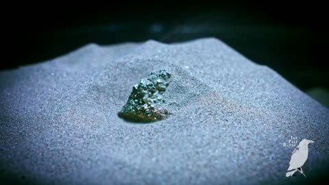 ⏳🟤1 Hour of Sand Soundscapes: Brown Noise for Sleep and Mental Health 🌙