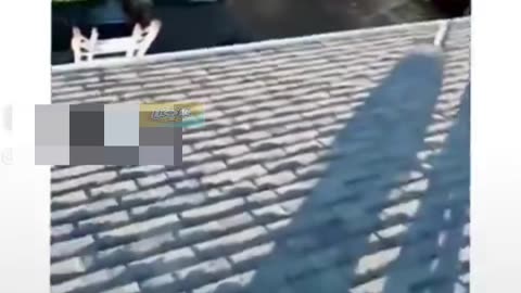 Clips I Found On Internet Part207