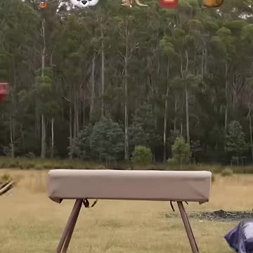 If animals did Parkour