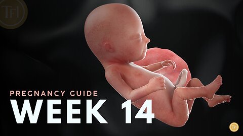 What to Expect at Week 14 | Week by Week Pregnancy Guide