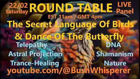 The Secret Language Of Birds & Dance Of The Butterfly- ROUND TABLE Live