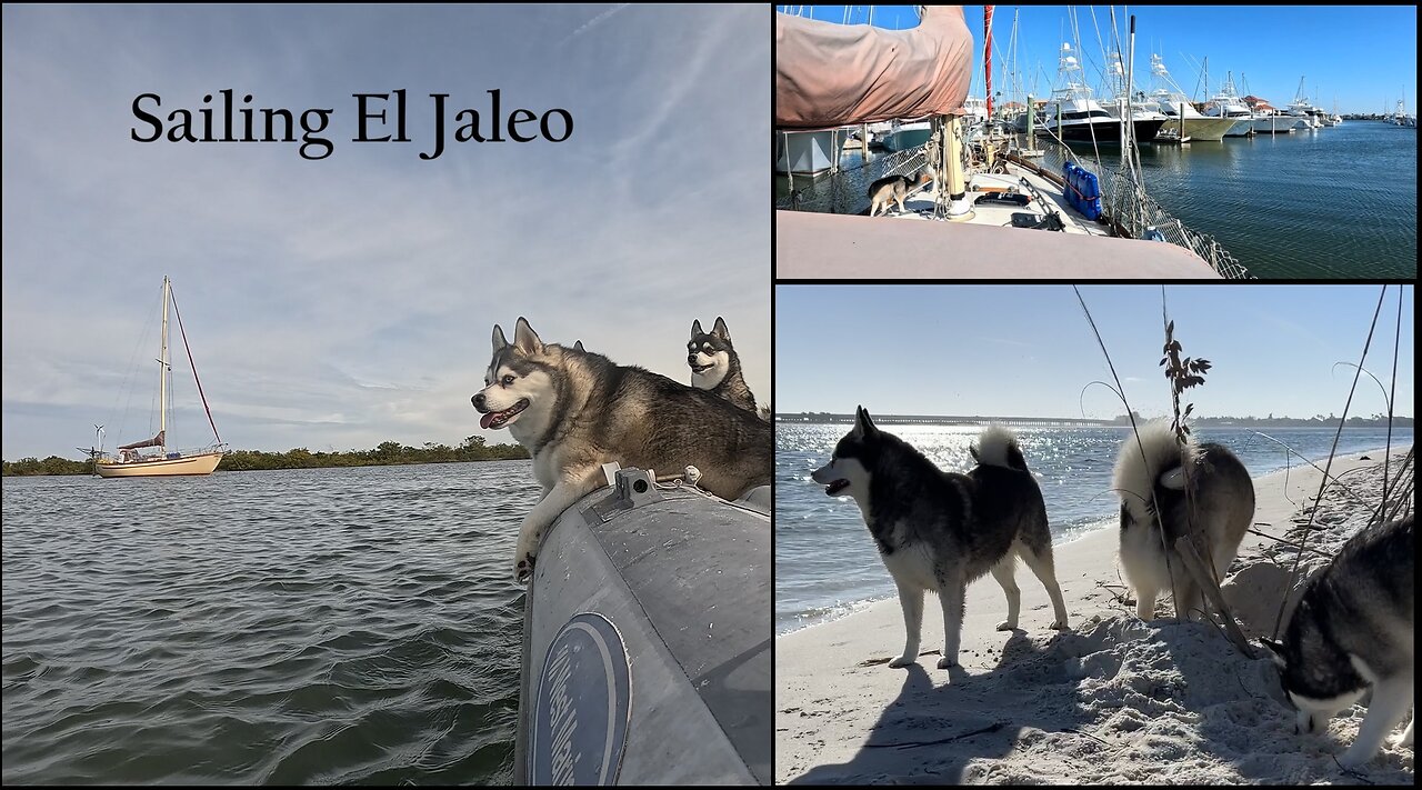 S05E08 - Beach Pups, Laundry & Provisions in St Augustine, FL