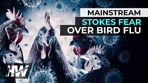 MAINSTREAM STOKES FEAR OVER BIRD FLU