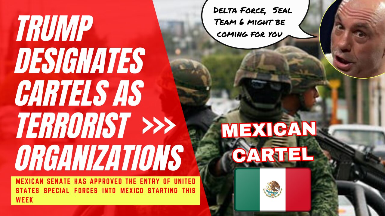 Trump designates cartels as Terrorist Organizations