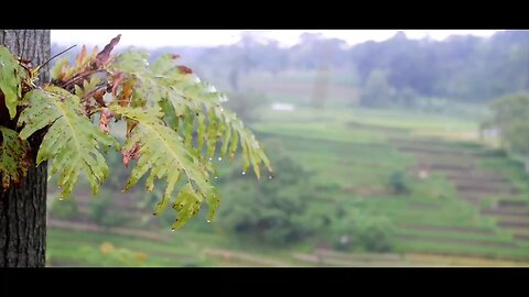 The beauty of life and agriculture in nature