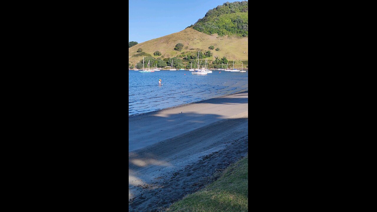 TAURANGA port