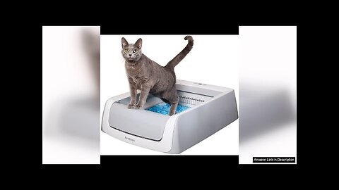 PetSafe ScoopFree Crystal Pro Self-Cleaning Cat Litterbox - Never Scoop Litter Again Review