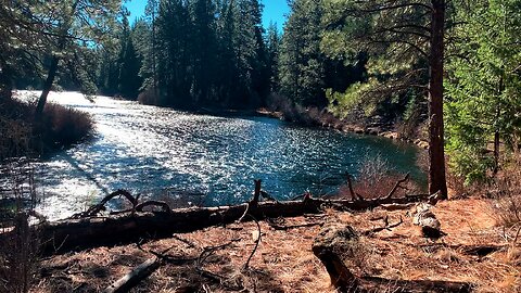 Winter Hiking SHORELINE West Metolius River Trail, Fly Fishing Paradise! | Deschutes Central Oregon