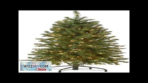 National Tree Company Artificial Pre-Lit Slim Christmas Tree Green Kingswood Fir White Review