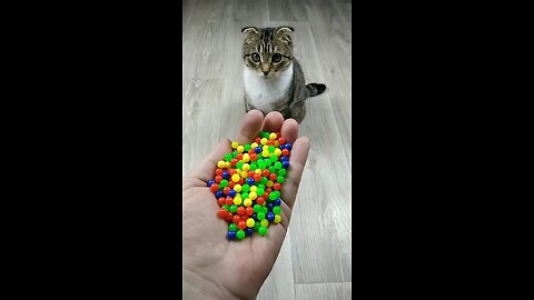 Oddly Satisfying Compilation: Perfect Cuts, Smooth Folds & Precision Work”