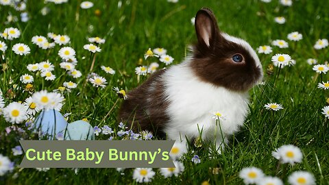 "Adorable Baby Rabbit Explores the Forest with Mom! Cute baby animal