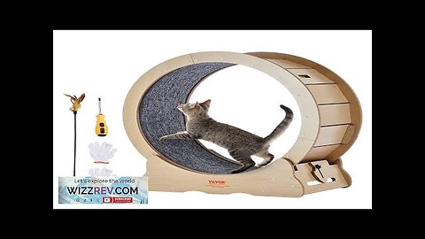 Cat Exercise Wheel Large Cat Treadmill Wheel for Indoor Cats 29.5 inch Review