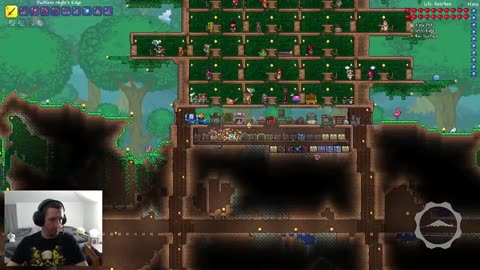 Chill Terraria working on underground tunnels