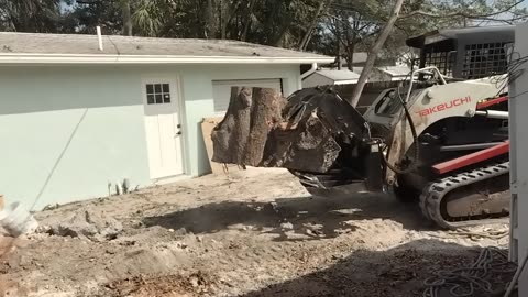 Tecos total tree using bobcat grapple bucket to break up and move heavy massive oak tree trunk