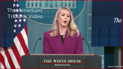 Karoline Leavitt Laughs in Face of Woke Reporter Over Ridiculous Spending Question